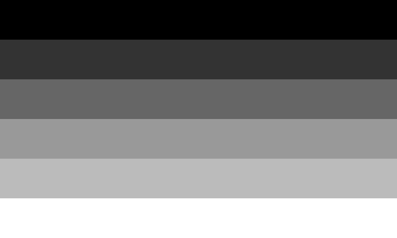 Die heterosexuelle Pride-Flagge in Schwarz, Grau und Weiß soll Heterosexualität symbolisieren, wird jedoch selten genutzt und teils kritisch betrachtet.