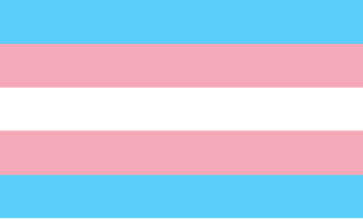 Die Trans-Pride-Flagge wurde 1999 von Monica Helms entworfen und 2000 in Phoenix erstmals gezeigt. Blau steht für Männlichkeit, Rosa für Weiblichkeit und Weiß für nicht-binäre, intergeschlechtliche sowie transitionierende Menschen.
